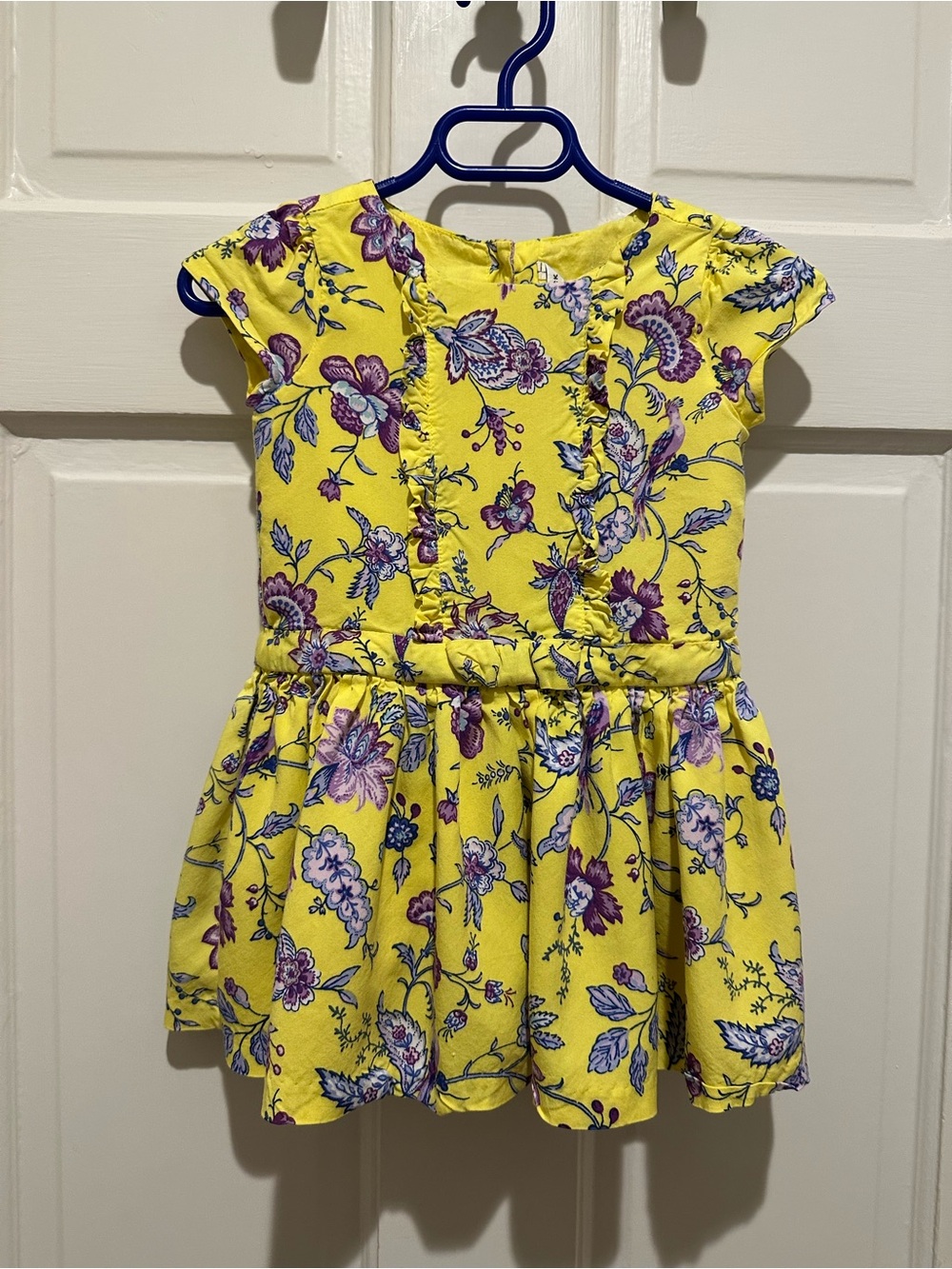 Janie and Jack Toddler Girl Aurora Floral Ruffle dress (2T)